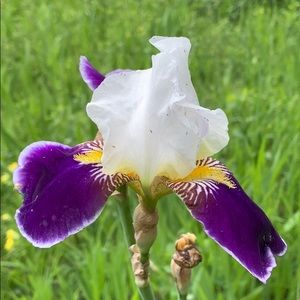 Meet your Posher, Gary